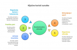 Infografika  5 Ključnih koristi surutke   visual selection